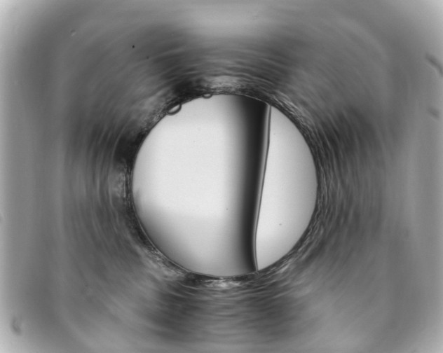 X0000094220379200710260959