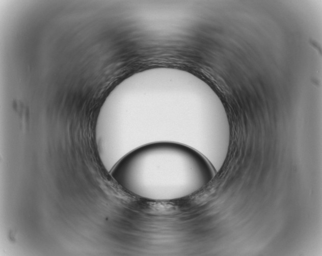 X0000094220380200710260959