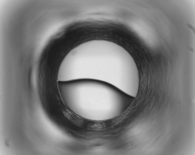 X0000094220383200710260959
