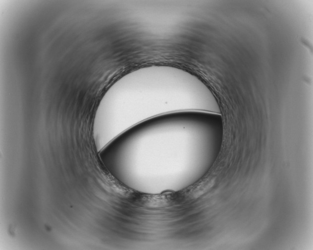 X0000094220384200710260959