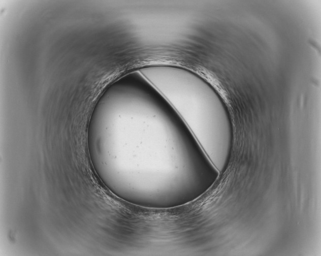 X0000094220385200710260958
