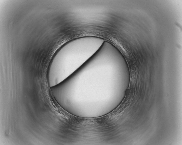 X0000094220386200710260958