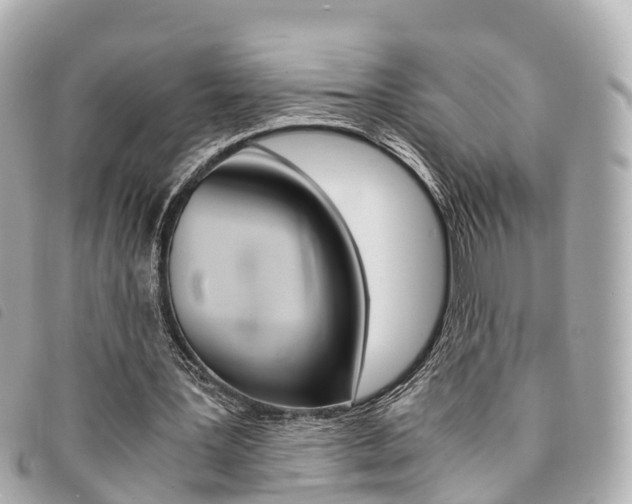 X0000094220387200710260958