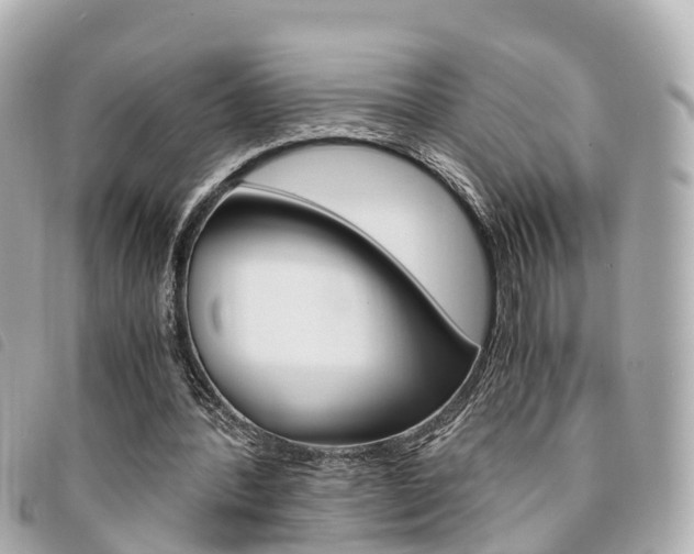X0000094220388200710260958