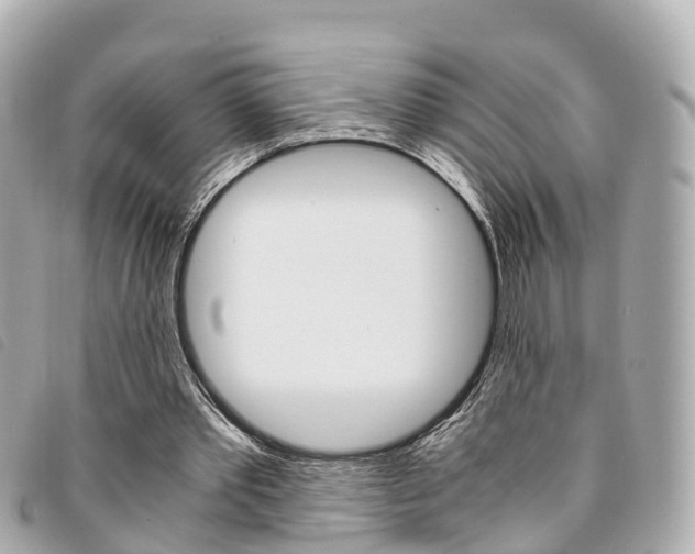 X0000094220389200710260958