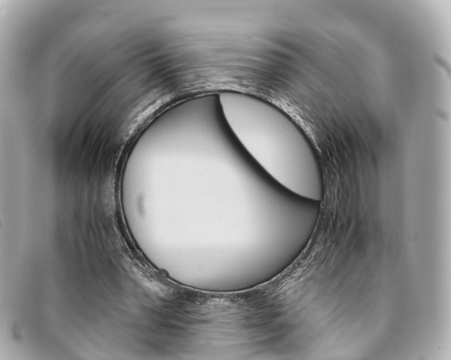 X0000094220390200710260958