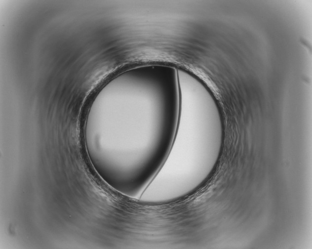 X0000094220391200710260958