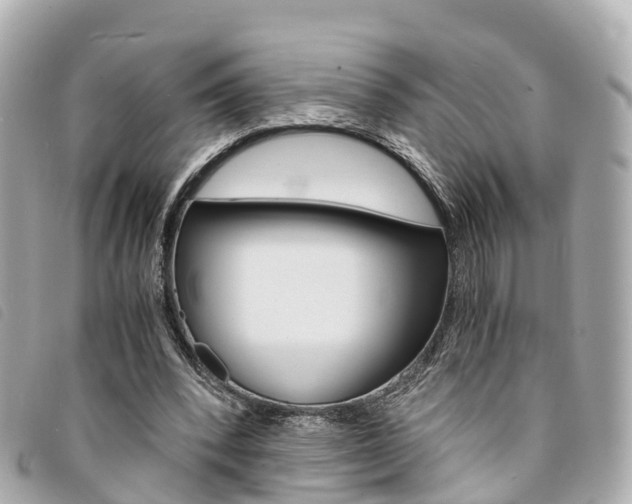 X0000094220392200710260958