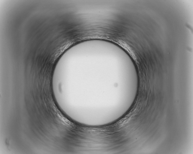 X0000094220393200710260958
