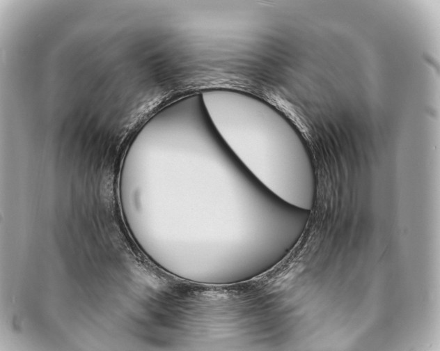 X0000094220394200710260958