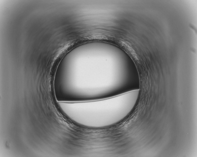 X0000094220395200710260958