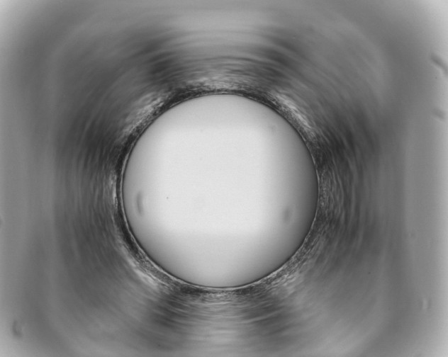 X0000094220398200710260958