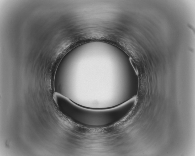 X0000094220399200710260958