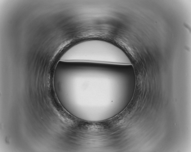 X0000094220400200710260958