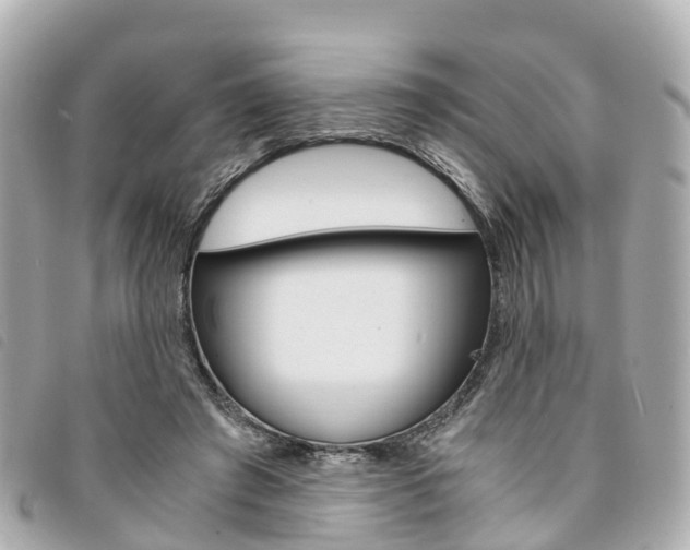 X0000094220401200710260958