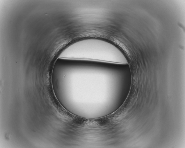 X0000094220403200710260958