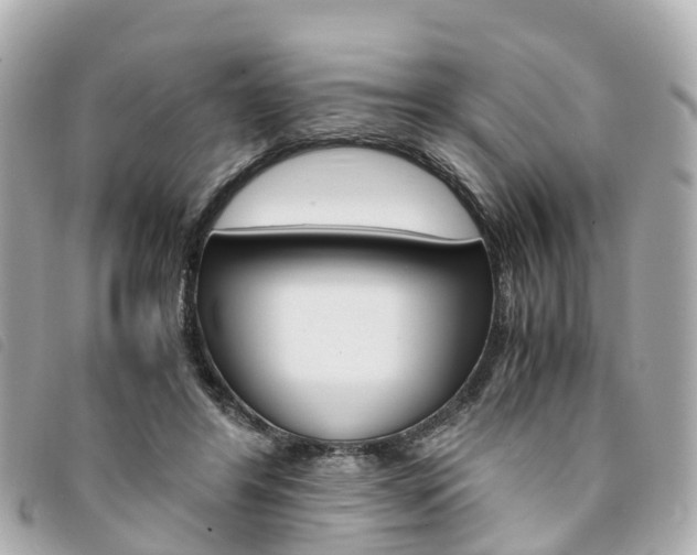 X0000094220404200710260958