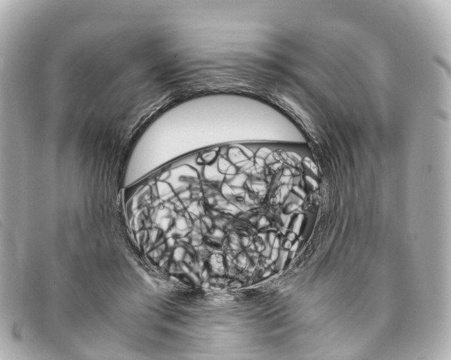 X0000094220405200710260957