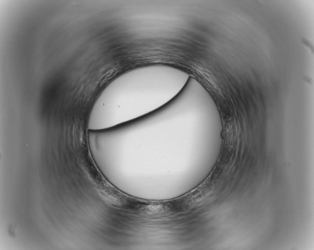 X0000094220406200710260957