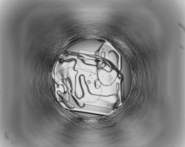 X0000094220409200710260957