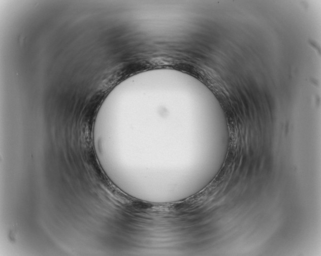 X0000094220418200710260957