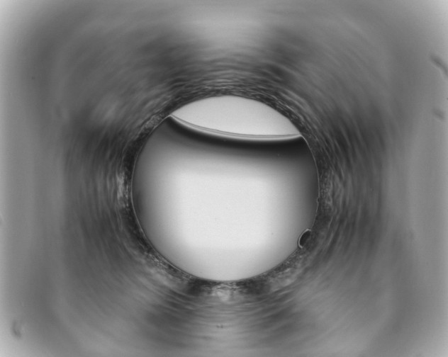 X0000094220420200710260957