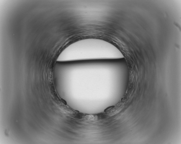 X0000094220421200710260957