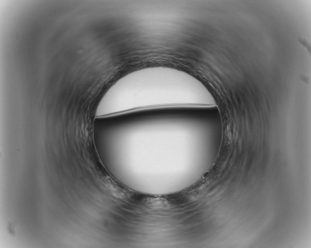X0000094220424200710260957