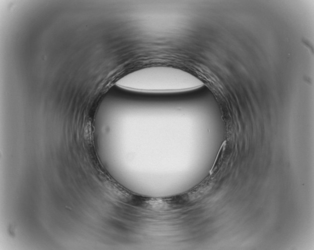 X0000094220425200710260957