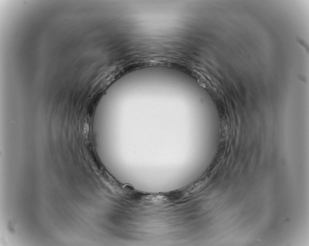 X0000094220427200710260957