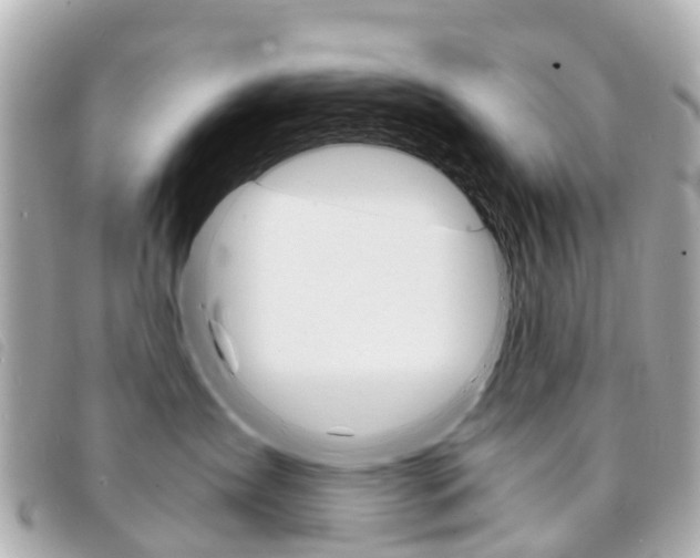 X0000094220431200710260957