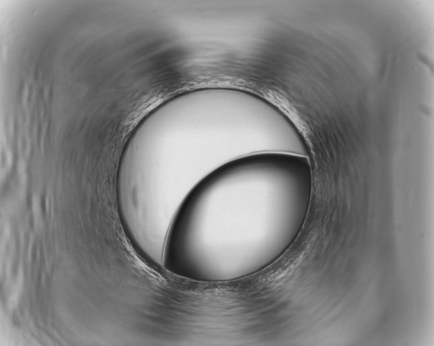 X0000094220433200710260956