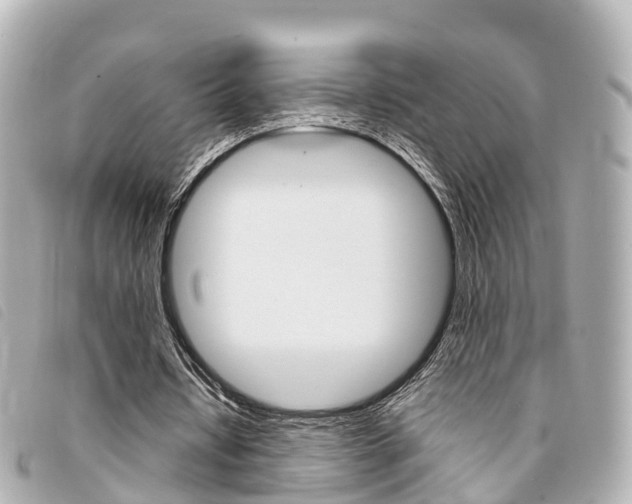 X0000094220434200710260956