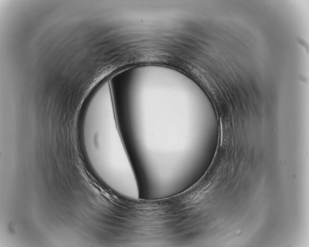 X0000094220435200710260956
