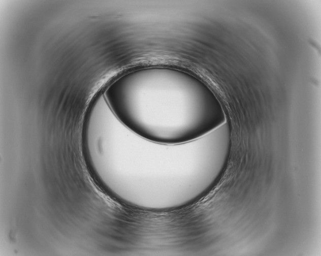 X0000094220438200710260956