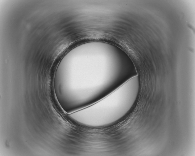 X0000094220440200710260957