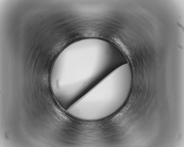 X0000094220441200710260957