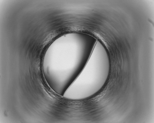 X0000094220443200710260957