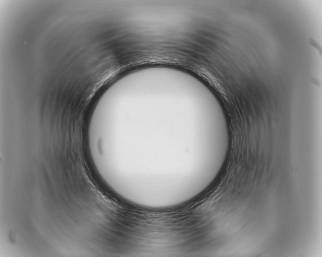 X0000094220444200710260957