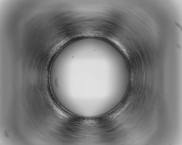 X0000094220445200710260957