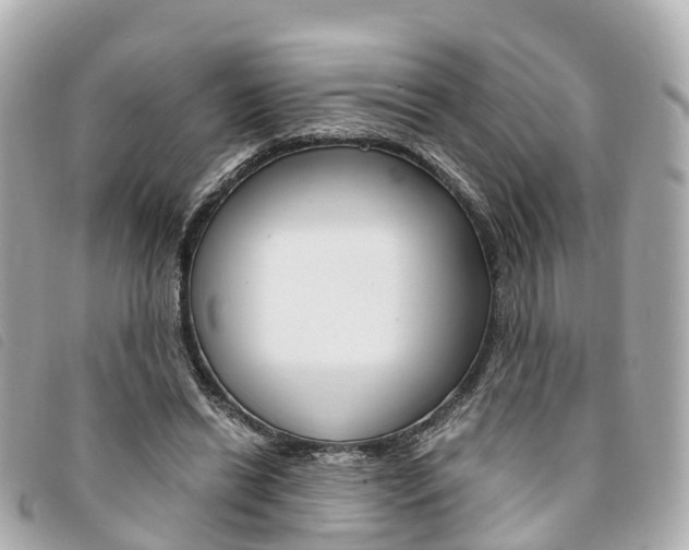 X0000094220446200710260957
