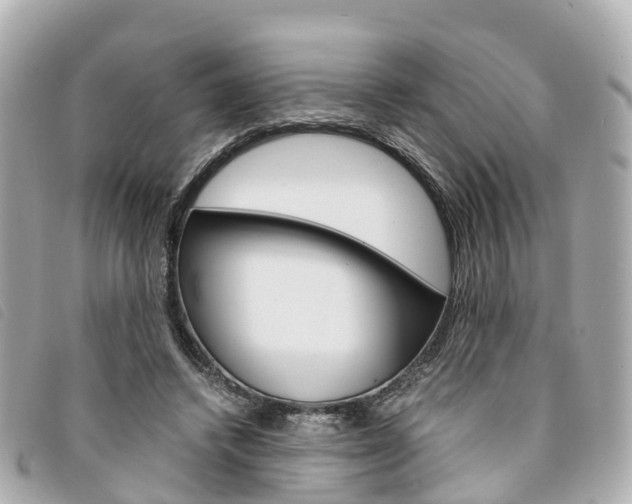 X0000094220448200710260957