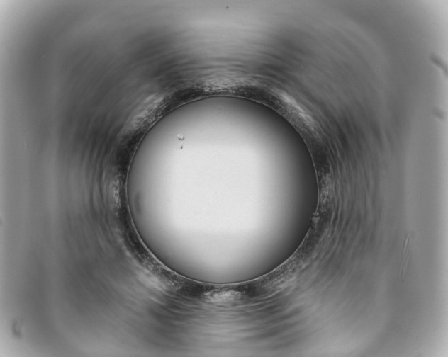 X0000094220452200710260957