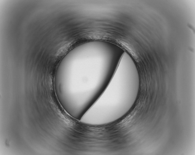 X0000094220453200710260957