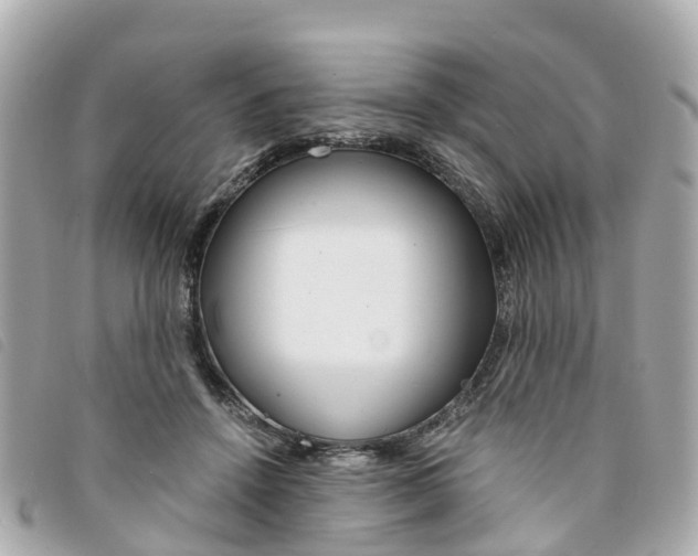 X0000094220456200710260957