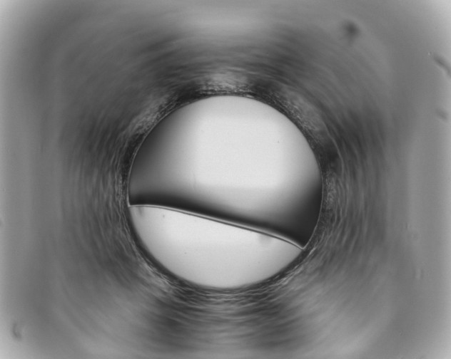 X0000094220457200710260957