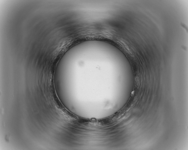X0000094220458200710260957