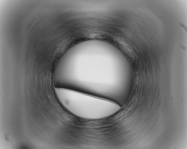 X0000094220461200710260957
