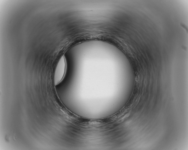 X0000094220462200710260957