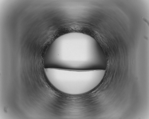X0000094220464200710260957